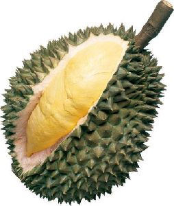 Organic Durian Fruit