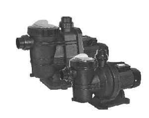 Swimming Pool Pumps