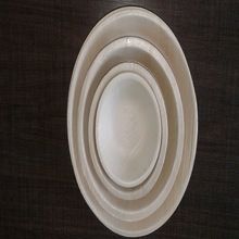 Areca Leaf Plate