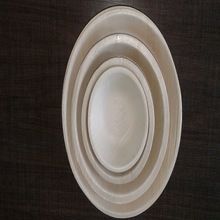 Biodegradable Areca Dinner Plate