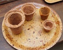 Coconut Coir Seed Germination cup