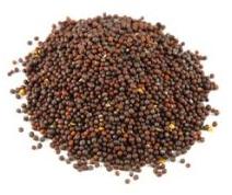 Mustard Seeds