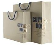 Promotional Paper Printed Bags