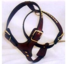 Dog Harness