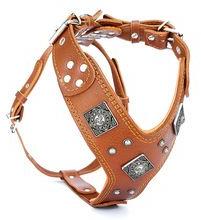 Leather Dog Harness And Leash