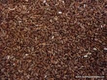 Brown Sesame Seeds