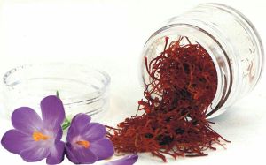 kashmiri saffron (Kesar)