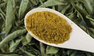 Curry Leaves