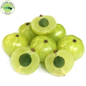 Hair Growth Amla Oil