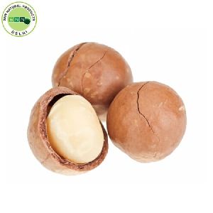 Macadamia Essential Oil