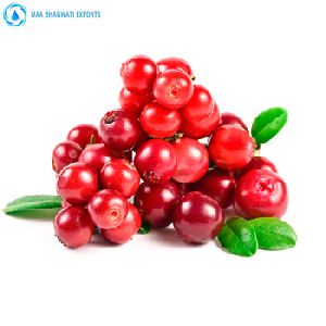 Cold Pressed Cranberry Seed Oil