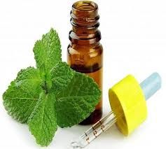 mint essential oil