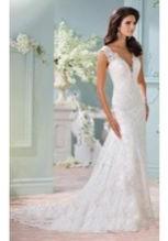 short sleeve lace overlay wedding gown