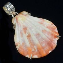 Shell gemstone Pendant