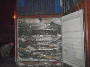 STAINLESS STEEL MELTING SCRAP - 200 SERIES