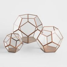 Geometrical Metal AND Glass Terrarium