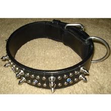 Leather Dog Collar with Studs