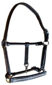 Leather Horse Halter with Chain