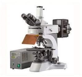 laboratory Fluorescence Microscope