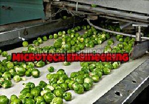Amla Sorting Conveyor