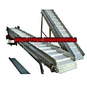 Amla Sorting Conveyor