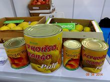 canned and frozen foods