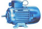 `REEJA SINGLE PHASE MOTORS