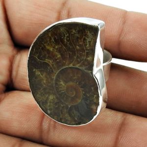 Graceful 925 Sterling Silver Ammonite Gemstone Ring Jewelry