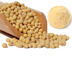 Soya Lecithin Powder