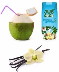 Fresh Coconut Milk with Vanilla Flavor