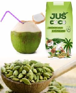 Organic Coconut Milk with Cardamom flavor
