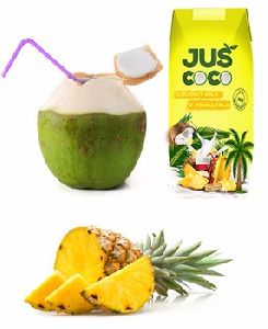 Organic coconut milk with Pineapple flavor