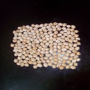 High Quality Indian Dried Chickpeas