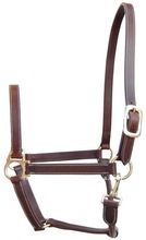 FANCY LEATHER HORSE HALTER