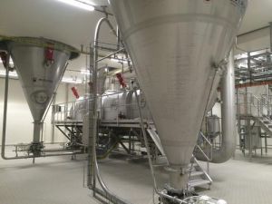 Demineralized Whey Powder Plant