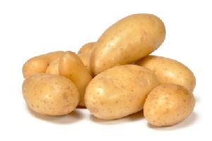 Potato