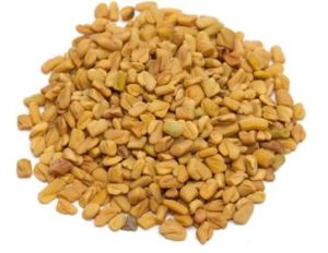 FENUGREEK - 4 HIL