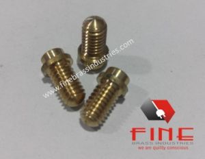 Brass Screw