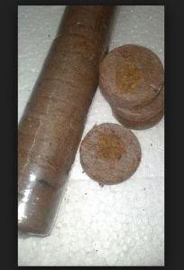 Cocopeat Plugs