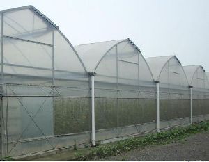 Insect Net Greenhouse