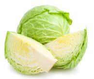 Cabbage