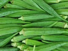 Okra