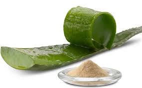 Aloe Vera Extract