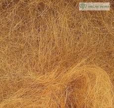 Coconut Coir Fiber