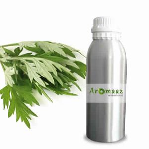 Armoise Essential Oil