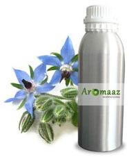 Borage Seed Carrier Oil