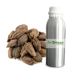 Cardamom Oleoresins