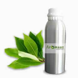 Laurel Leaf Essential Oil