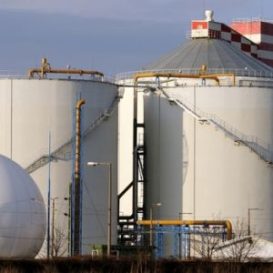 organic waste in Biogas plant