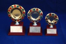 Award Trophy/Brass Trophies